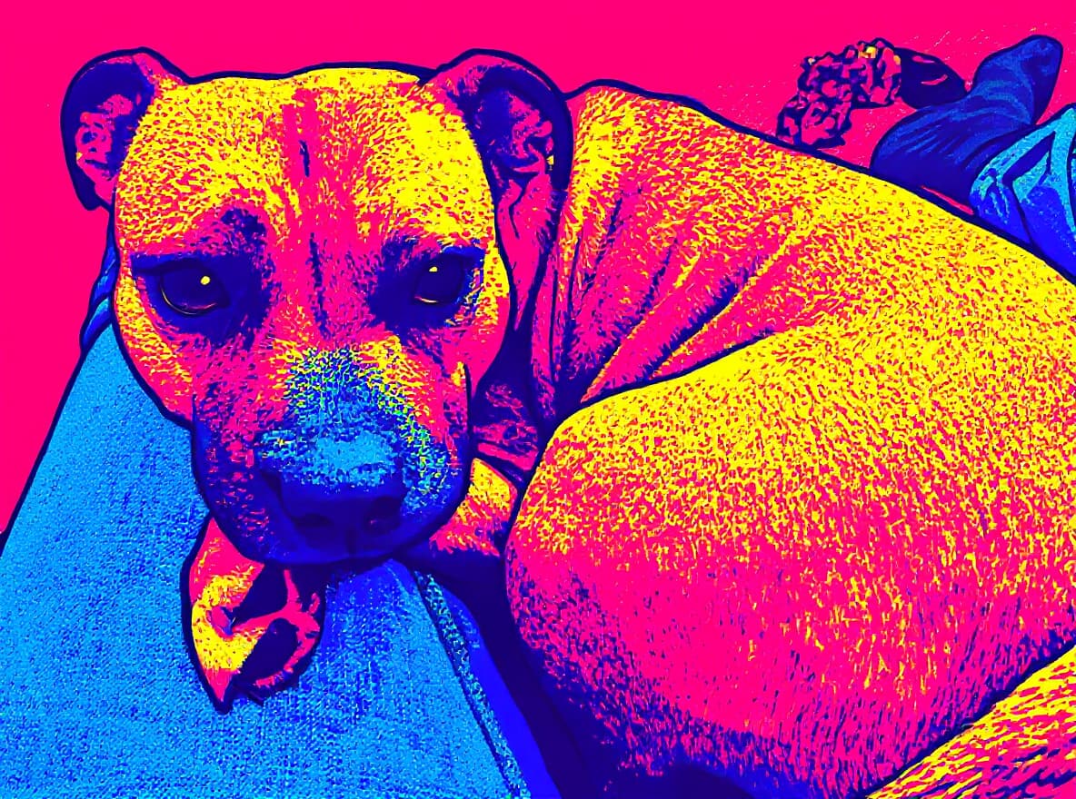 Pop Art généré par IA — exemple